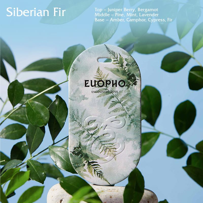 Nature Scented Cards for Men, 6pcs Woody & Marine Fragrance Card Set – Midnight Tide, Siberian Fir & Tabac Leather