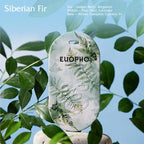 Nature Scented Cards for Men, 6pcs Woody & Marine Fragrance Card Set – Midnight Tide, Siberian Fir & Tabac Leather