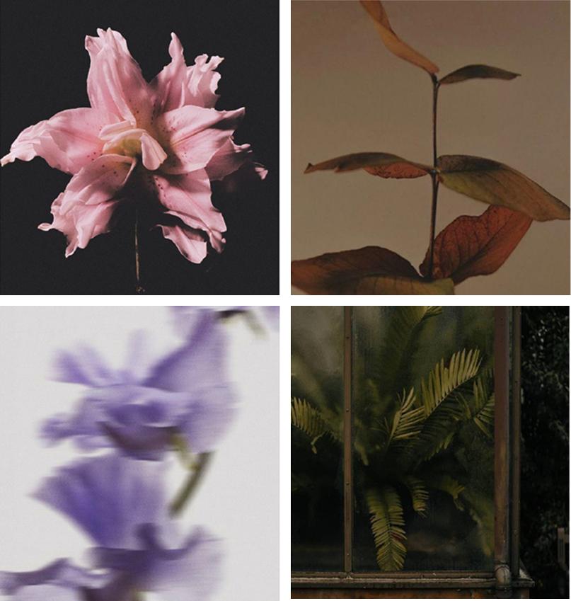 Bouquet Scented Cards for Women, 6pcs Floral Fragrance Card Set – Lavender, Rose & Jasmine