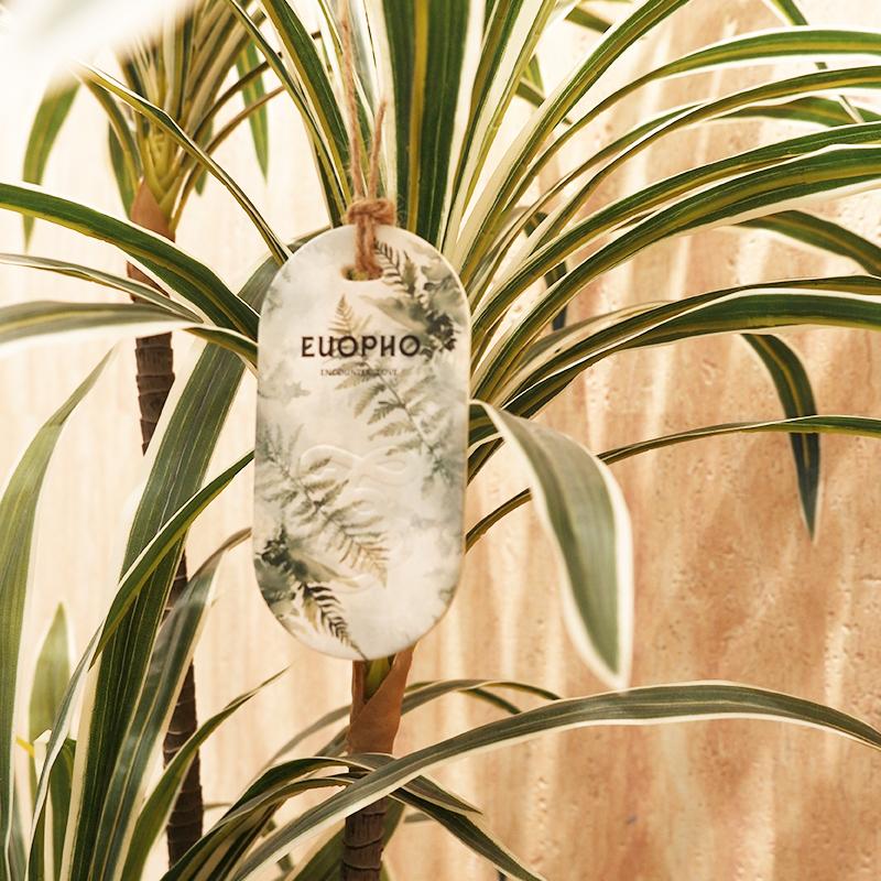 Nature Scented Cards for Men, 6pcs Woody & Marine Fragrance Card Set – Midnight Tide, Siberian Fir & Tabac Leather